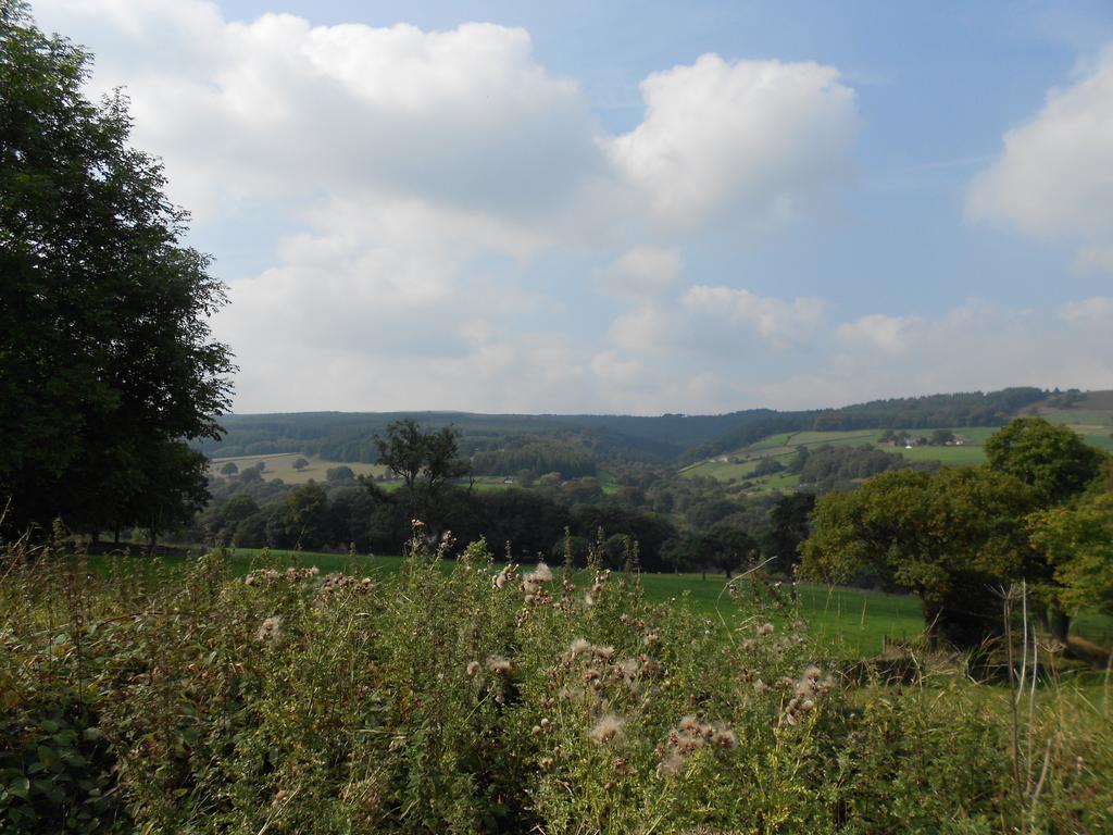 The Shady Oak B&B Whaley Bridge Zewnętrze zdjęcie