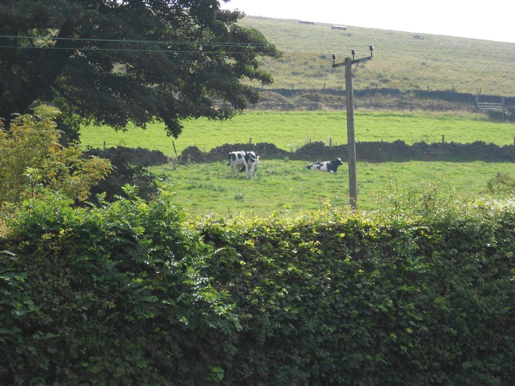 The Shady Oak B&B Whaley Bridge Zewnętrze zdjęcie